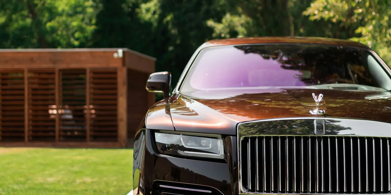 The California Bear Suit Fraud: Why Professional Surveillance is the Only Cure for Creative Scams