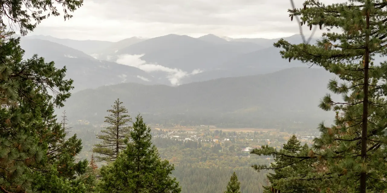 The 30-Year Sentence: Lessons from the $35M Shasta County Investment Fraud