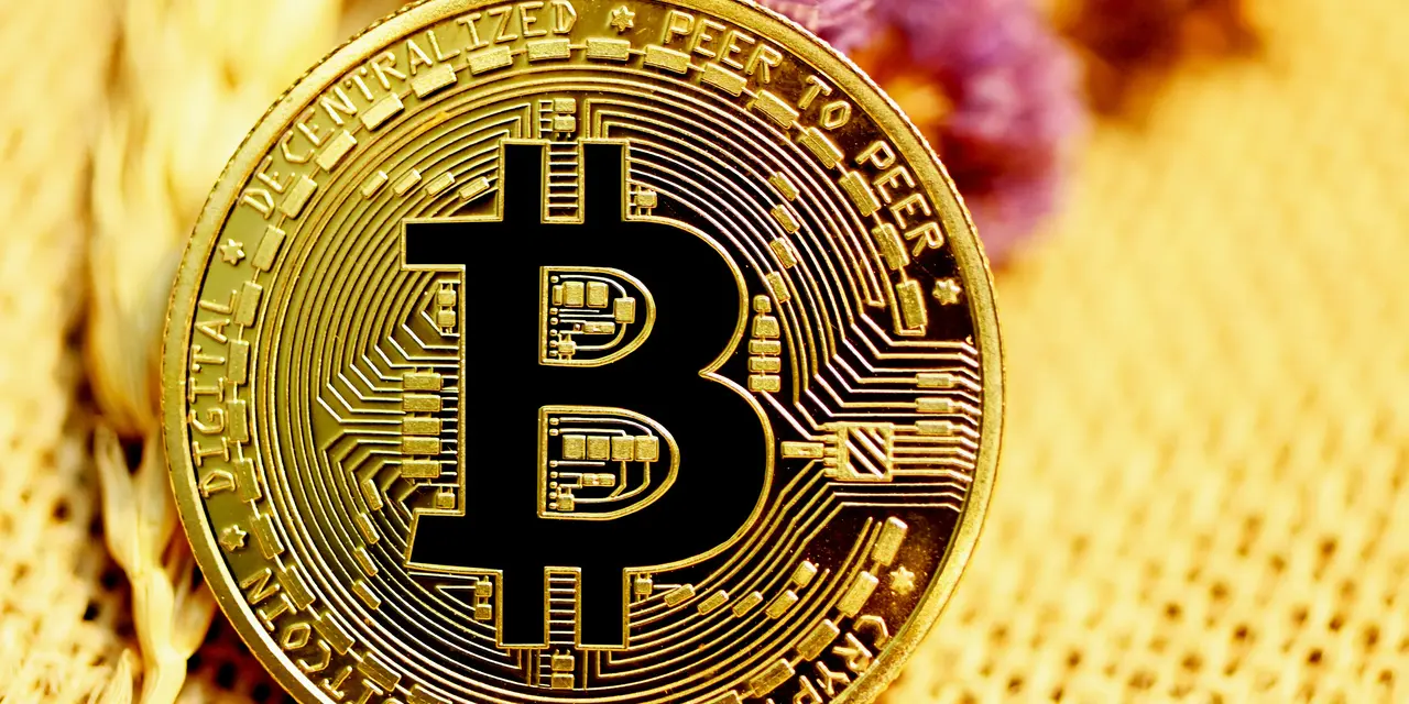 Bitcoin Rodney Pleads Guilty to $1.8B HyperFund Crypto Fraud: How to Trace and Recover Dissipated Assets